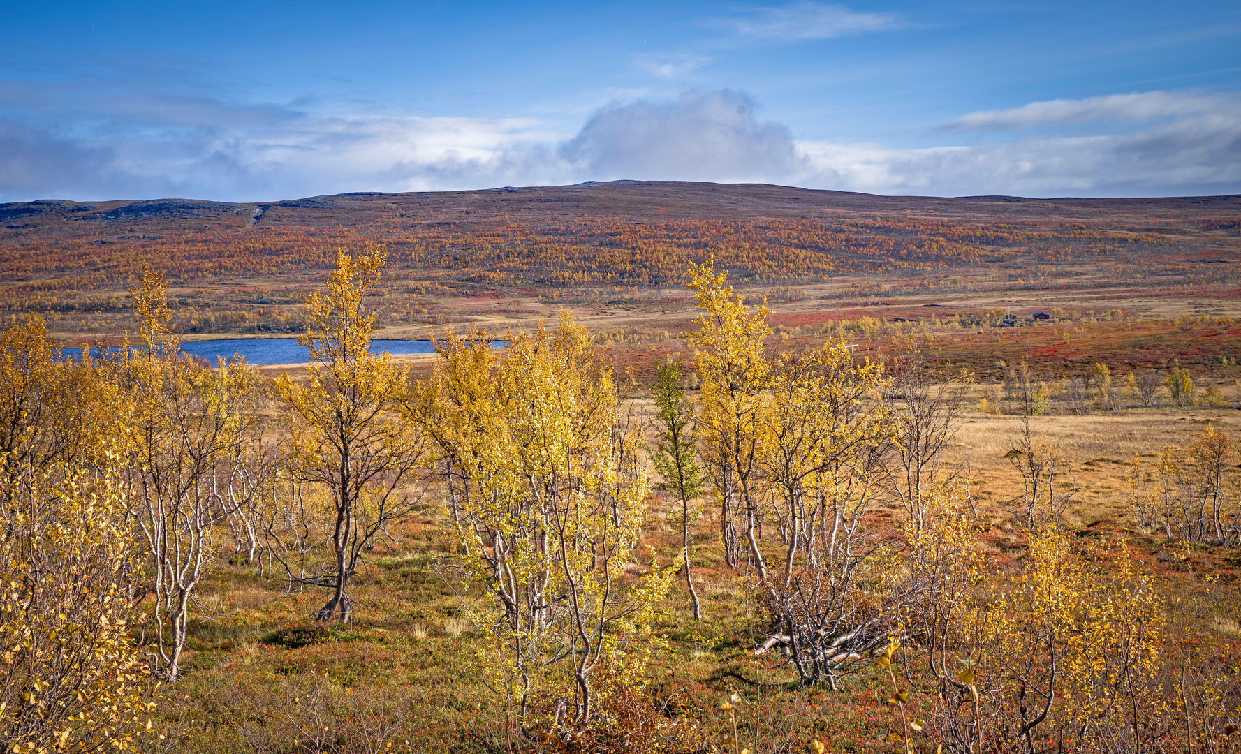 Nordische Herbstlandschaft