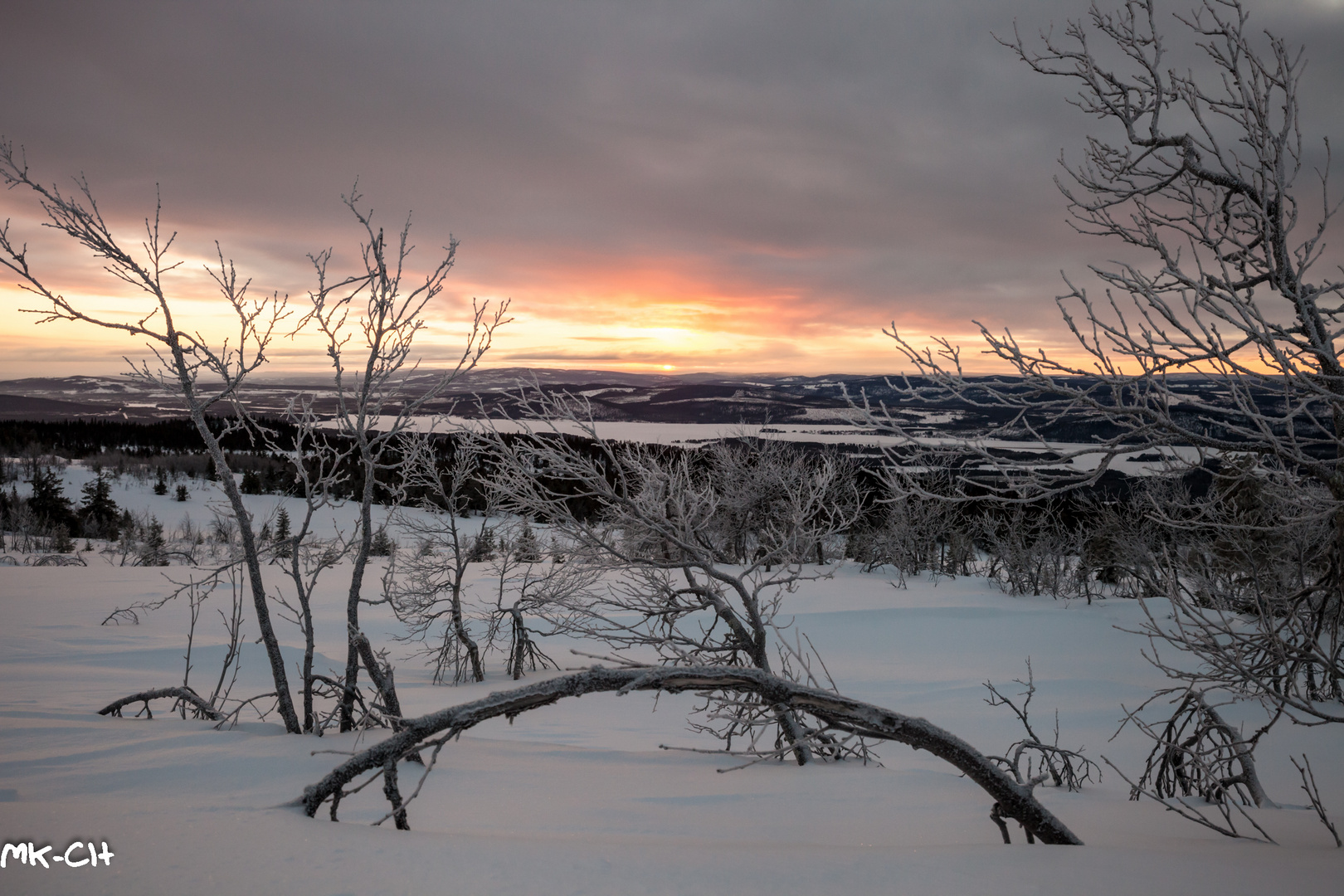 nordische Winterlandschaft