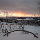 nordische Winterlandschaft