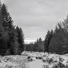 Nordische Winterlandschaft