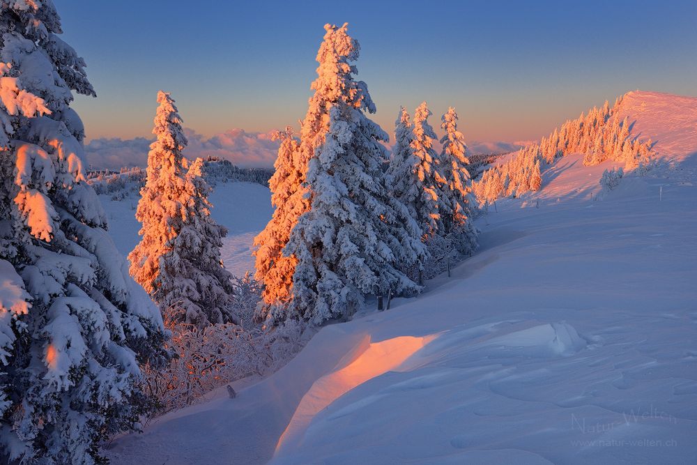 Nordischer Chasseral