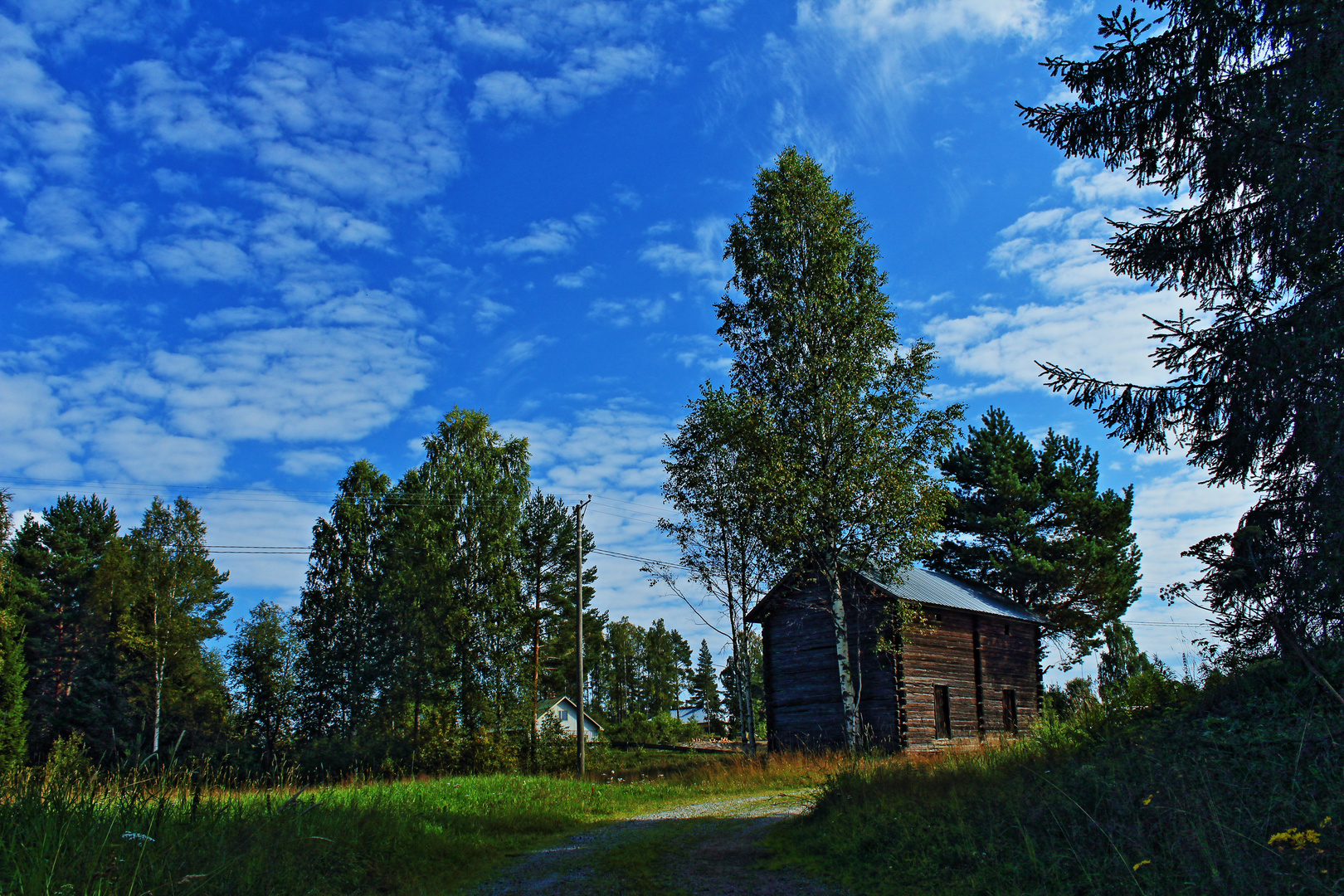 Nordischer Sommer