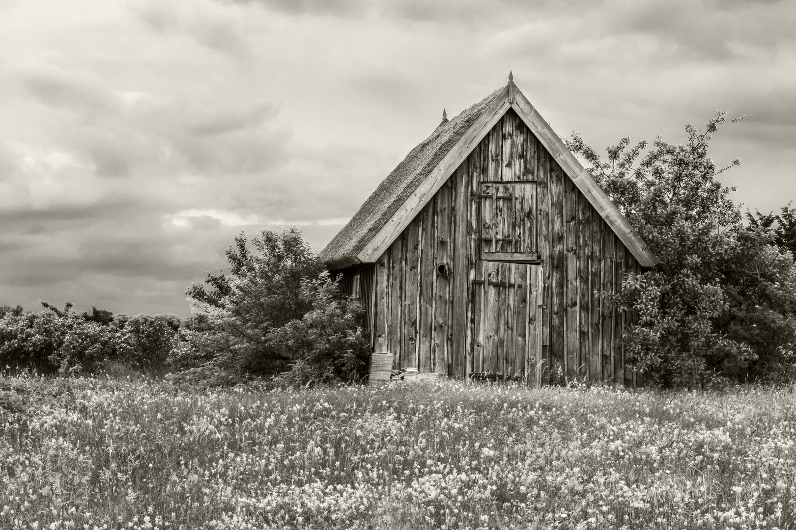 Nordischer Sommer