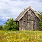 Nordischer Sommer in Farbe