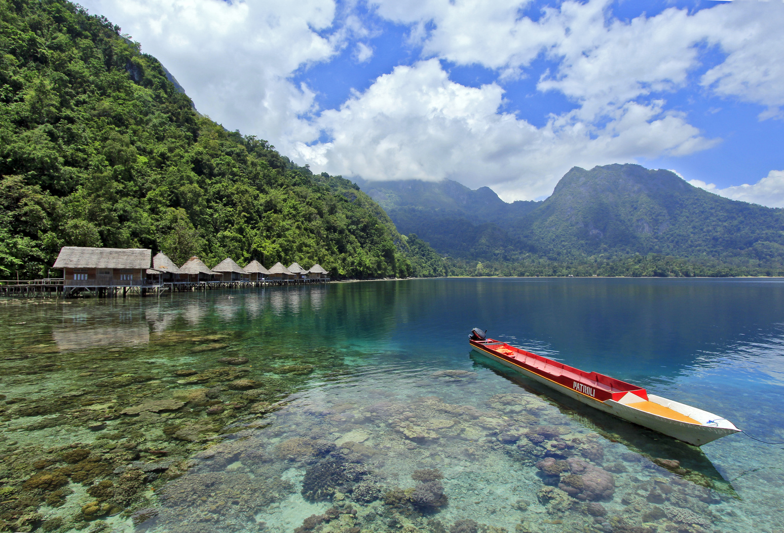 Nordk ste Insel Seram Molukken  Foto Bild asia 