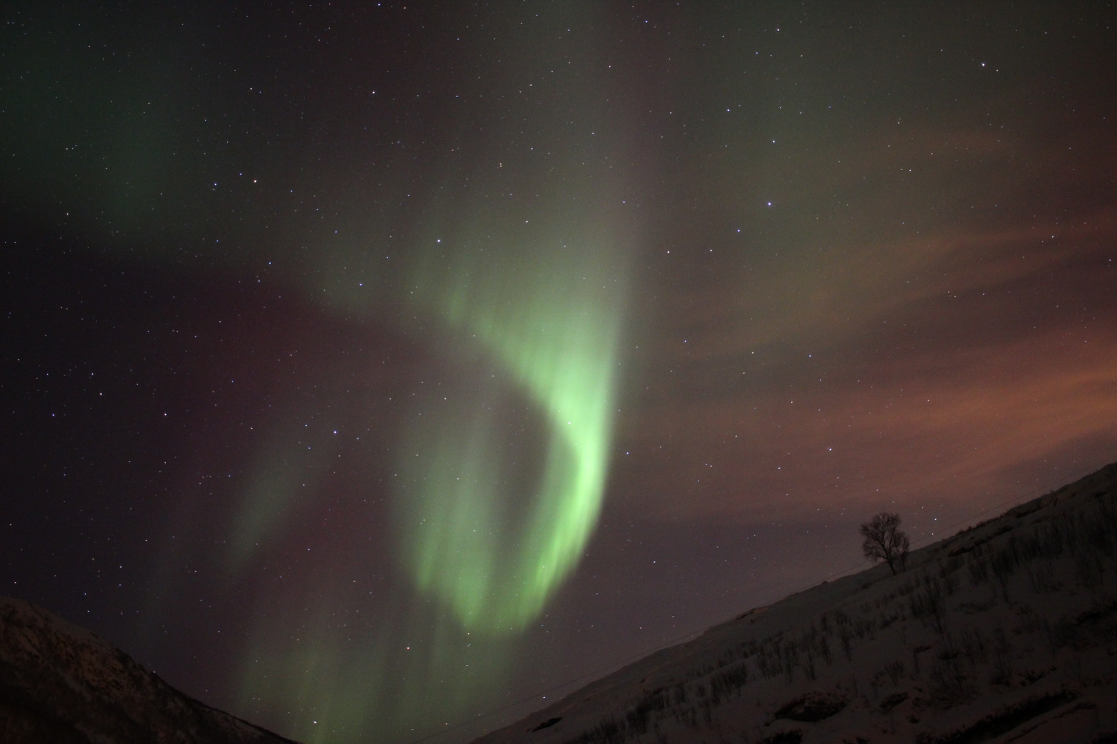 Nordlicht