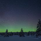 Nordlicht 2 - in der Nähe von Lillehammer / Norwegen