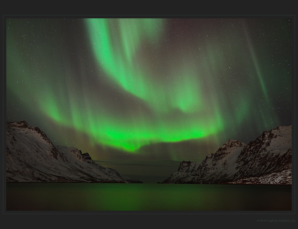 Nordlicht am Ersfjorden