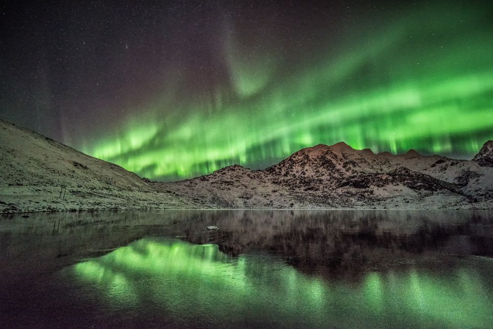 Nordlicht auf den Lofoten