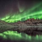 Nordlicht auf den Lofoten