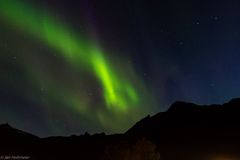 Nordlicht auf den Lofoten