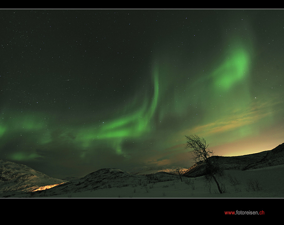 Nordlicht auf unserer Norwegen Polarlichtreise II