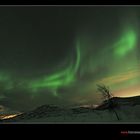 Nordlicht auf unserer Norwegen Polarlichtreise II