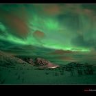 Nordlicht auf unserer Norwegen Polarlichtreise IV