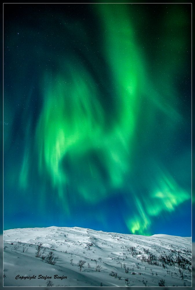 Nordlicht (Aurora Borealis)