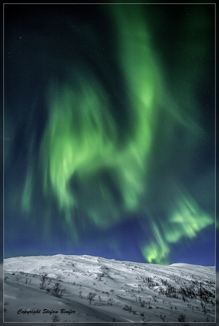 Nordlicht (Aurora Borealis)