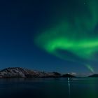 Nordlicht bei Honningsvåg