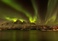 Nordlicht bei Svolvær