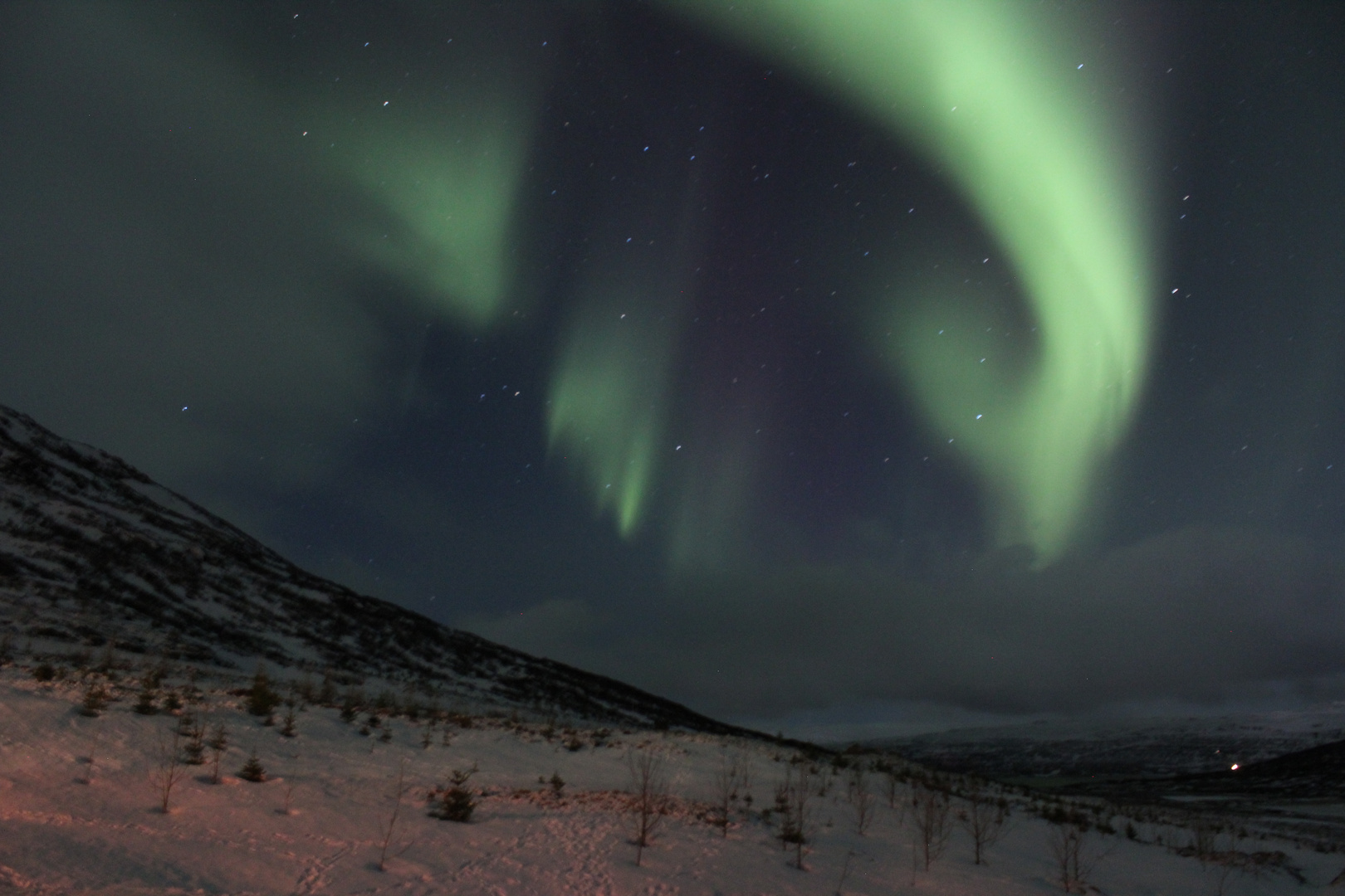 Nordlicht in den Wesfjorden