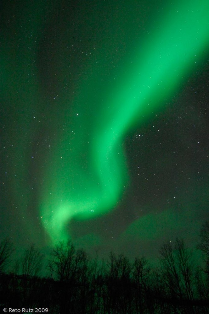 Nordlicht in Skibotn