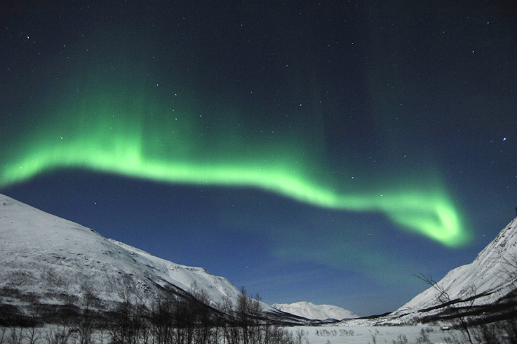 Nordlicht in Tromsô