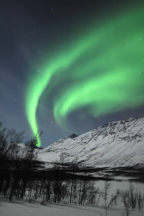 Nordlicht in Tromsô - aurora borealis