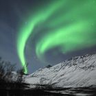 Nordlicht in Tromsô - aurora borealis