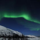 Nordlicht in Tromso