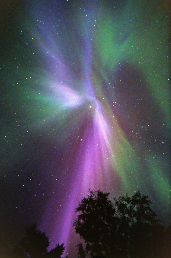 Nordlicht-Korona in Blau-Violett-Grün