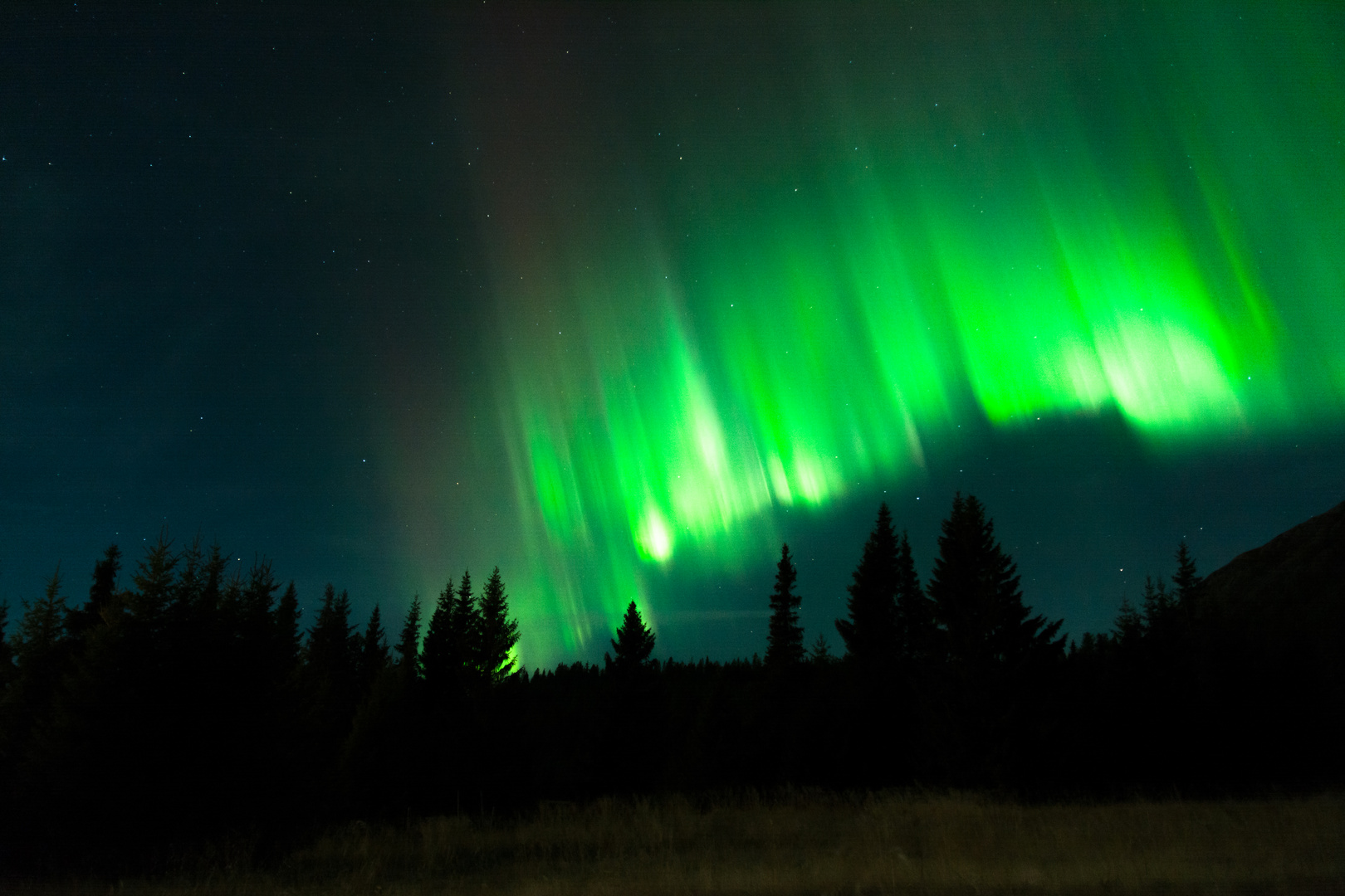 Nordlicht über Alvdal, Norwegen