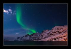 Nordlicht über dem Fjord