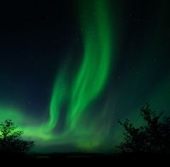 Nordlicht über dem Thingvallavatn