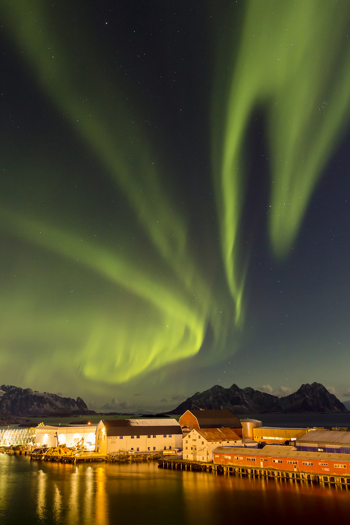 Nordlicht über Svolvaer