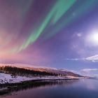 Nordlicht über Tromsø
