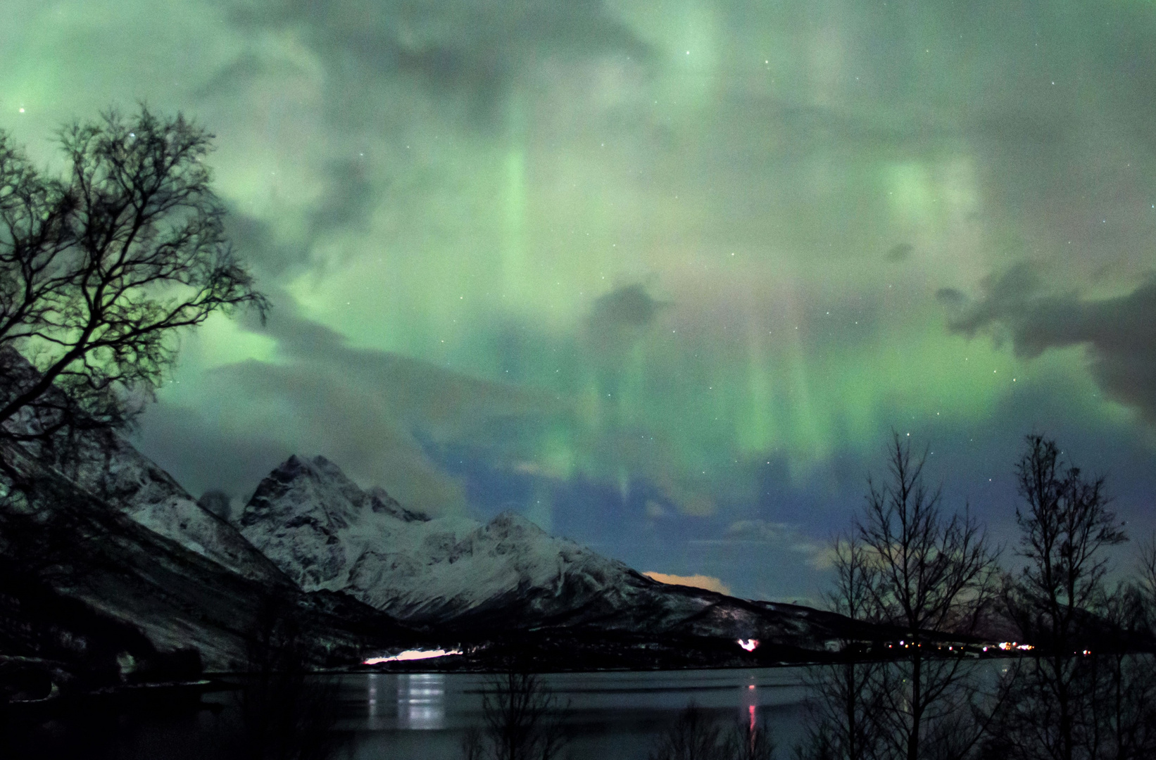 Nordlichter am Polarhimmel (3)