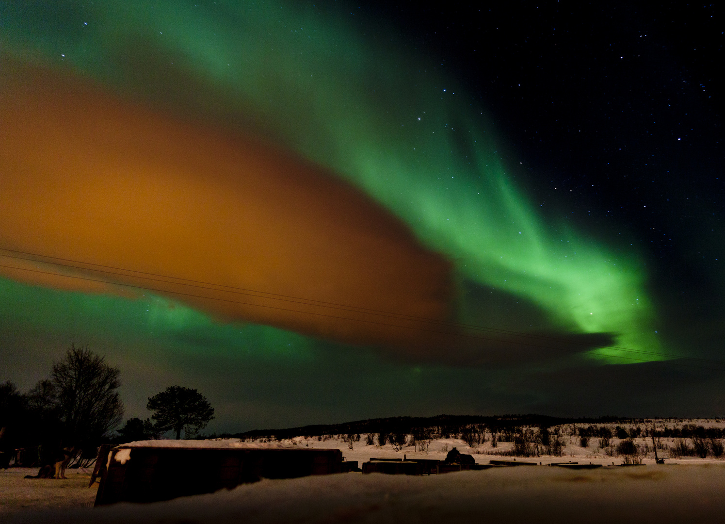 Nordlichter bei Tromsö