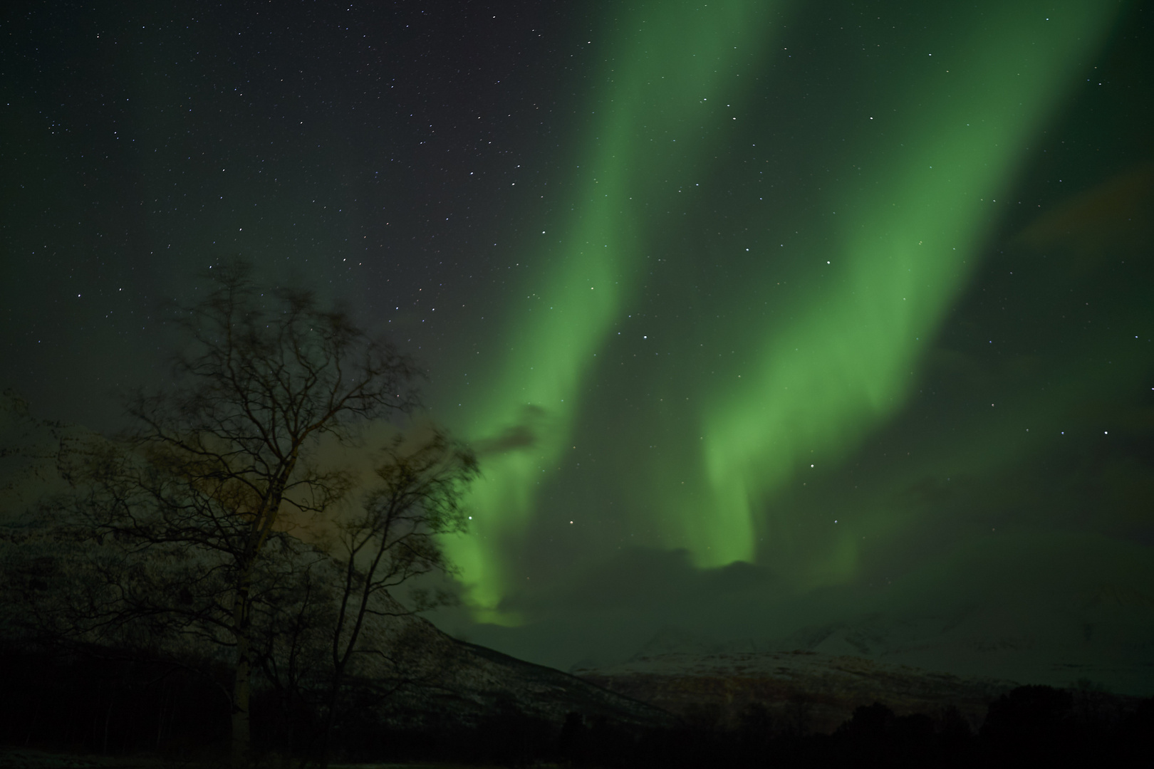 Nordlichter erhellen die Nacht