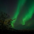 Nordlichter erhellen die Nacht