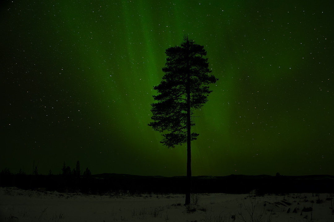 Nordlichter in Lappland 