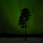 Nordlichter in Lappland 