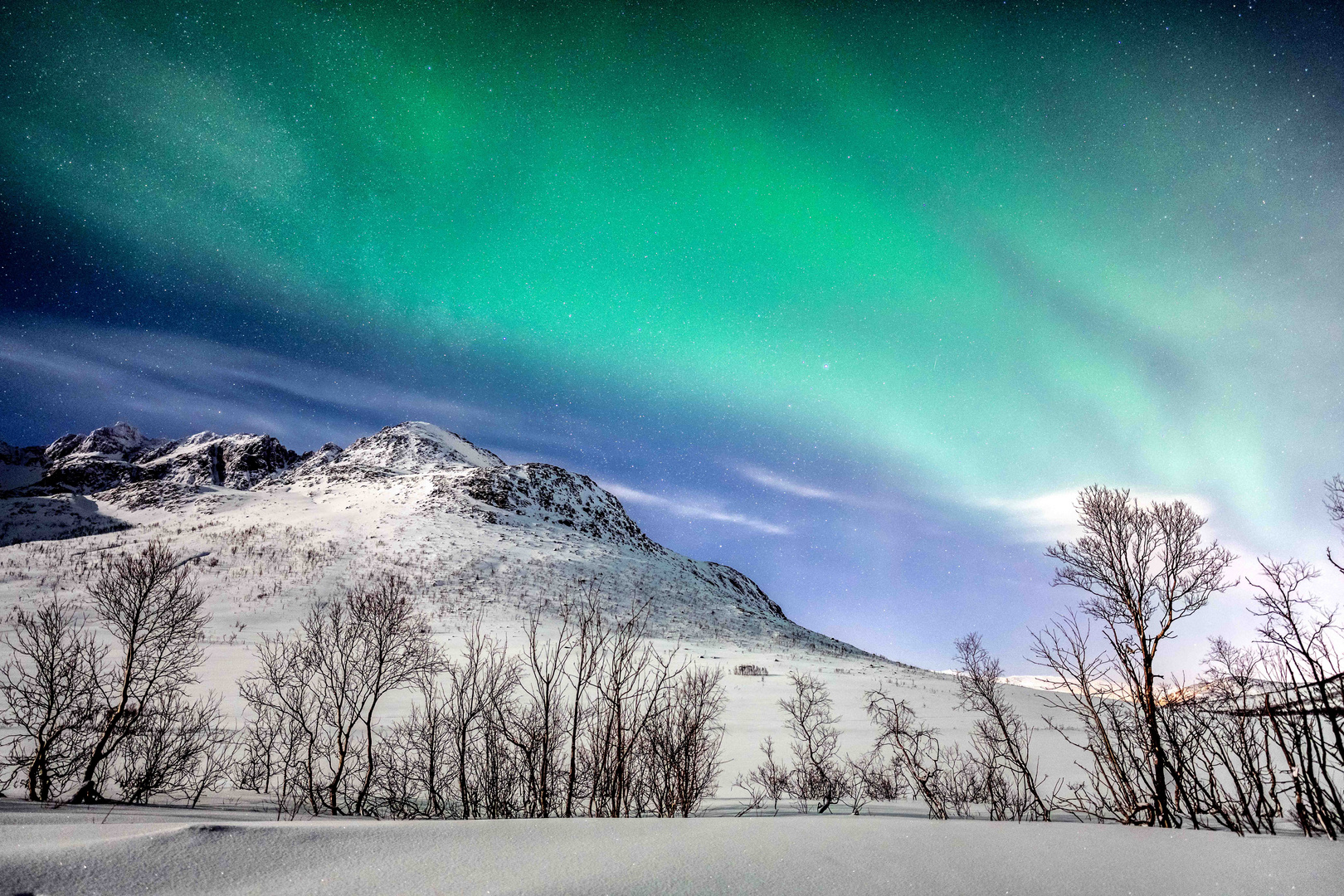 Nordlichter in Tromsö | Norwegen