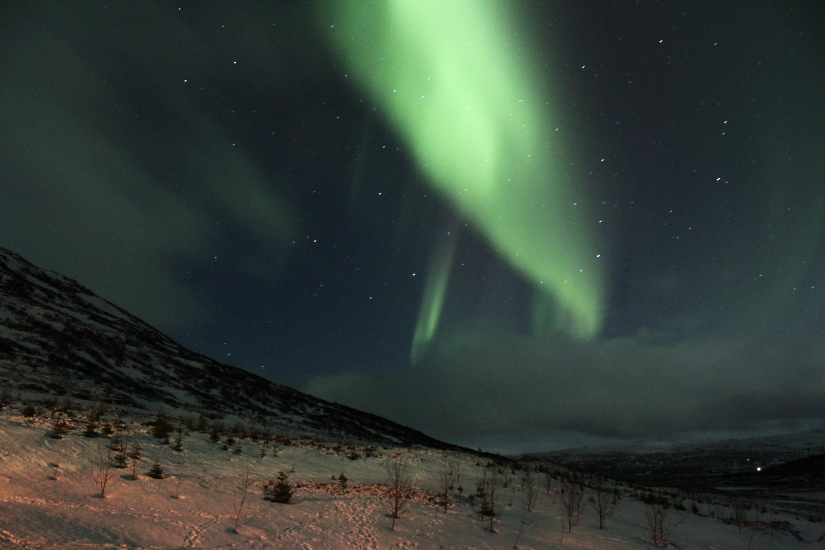 Nordlichter über den Westfjorden