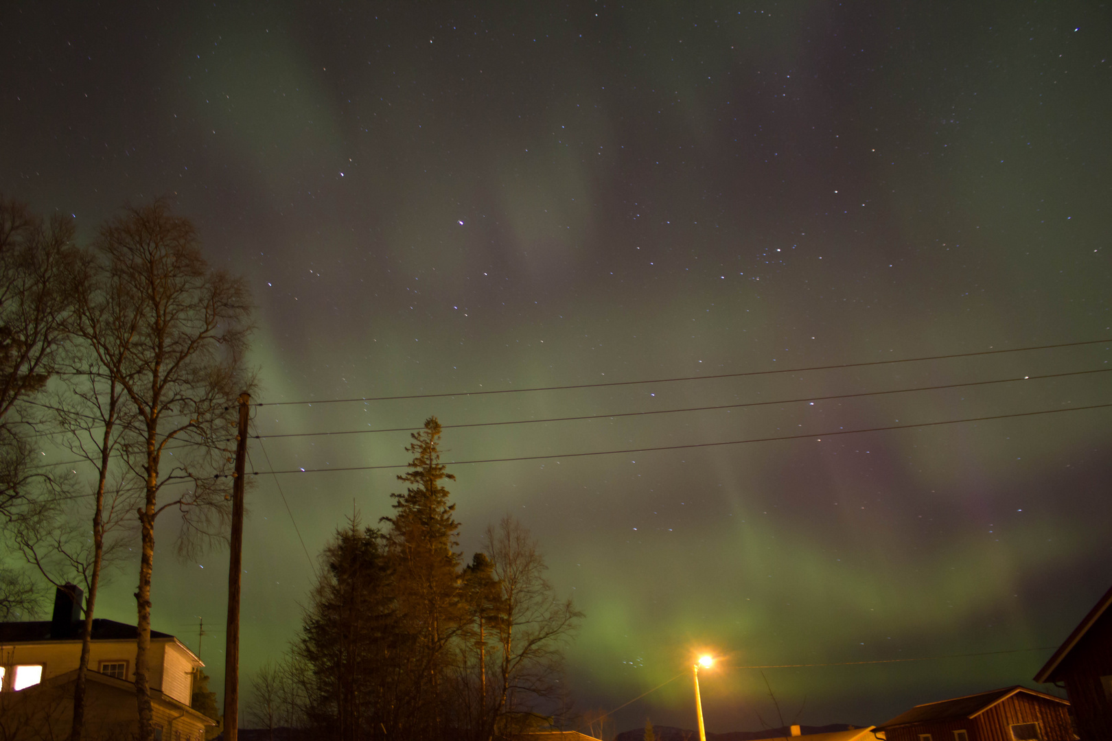 Nordlichter über Terråk