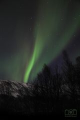 Nordlys über Tromsø