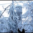 Nordmannsturm im Deister