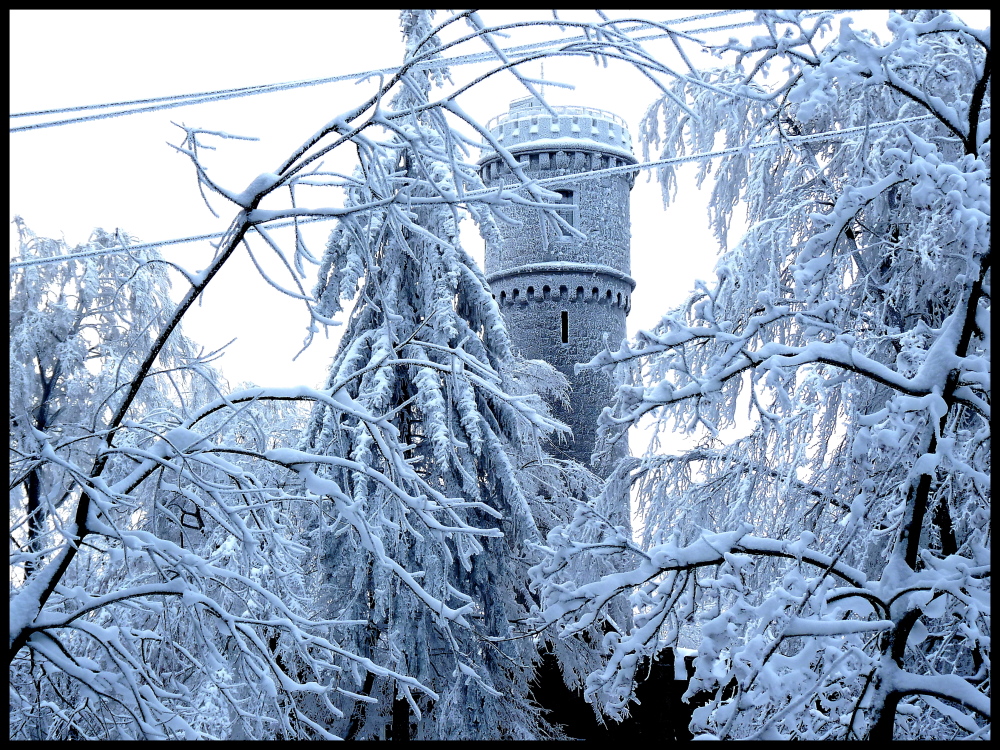 Nordmannsturm im Deister