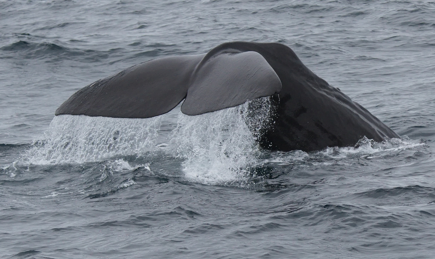 Nordnorwegen Andenes 2019