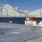 Nordnorwegen Djupvik Lyngenfjord