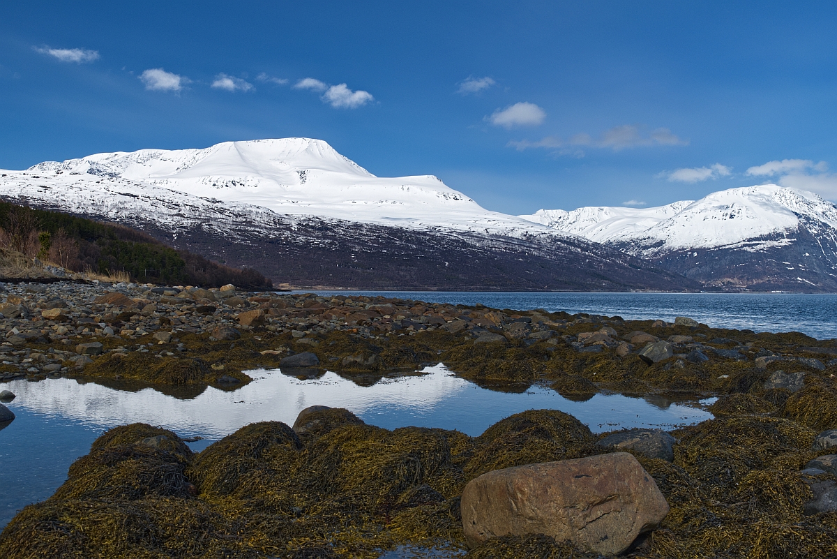 Nordnorwegen Lyngenfjord Skibotn