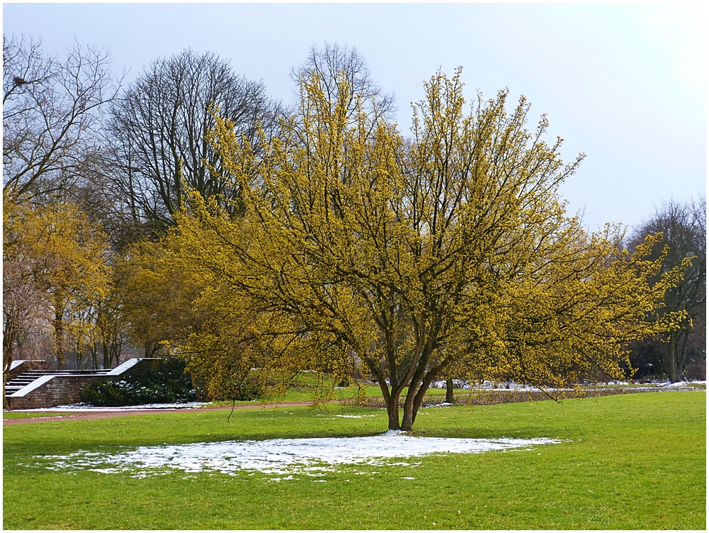 Nordpark Düsseldorf (3)